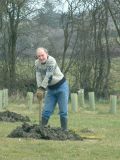 Planting Community Trees on Millennium Park