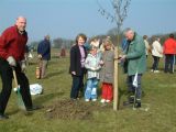 Community Association tree is planted in Millennium Park