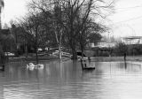 Floods November 2000