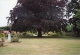 Open Gardens 1994 or 1995